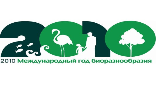 bolotova_ris7.jpg bolotova_ris7.jpg