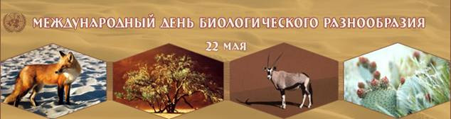 bolotova_ris1.jpg bolotova_ris1.jpg