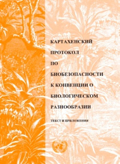 bolotova_ris20.jpg bolotova_ris20.jpg