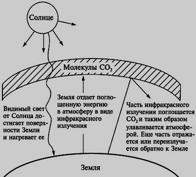 school_science_forumin_4.jpg school_science_forumin_4.jpg