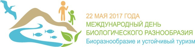 bolotova_ris9.jpg bolotova_ris9.jpg