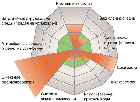 bolotova_ris13.jpg