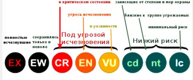 bolotova_ris30.jpg bolotova_ris30.jpg