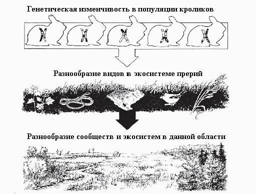 bolotova_ris14.jpg bolotova_ris14.jpg