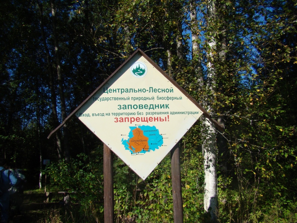 rs_kotova1.jpg rs_kotova1.jpg