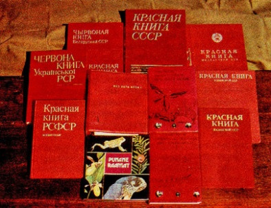 bolotova_ris34.jpg bolotova_ris34.jpg